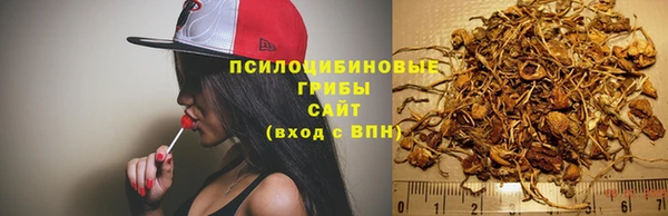 каннабис Верея