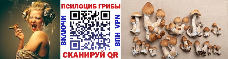 как найти наркотики  Семёнов  Псилоцибиновые грибы мицелий 